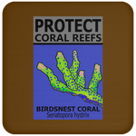 PCRS BIRDS C