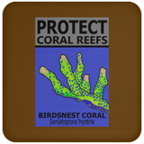 PCRS BIRDS C