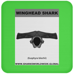 GR WINGHEAD J C