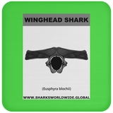GR WINGHEAD J C