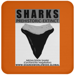 GR SSPX T MEGALODON C