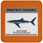 PRS BLUE SHARK V1 C