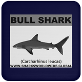 SSP BULL SHARK C