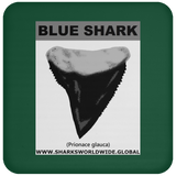 GR BLUE S T C