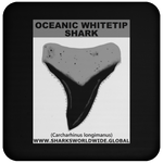 GR OCEANIC WT T C