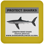 PRS LONGFIN V1 C