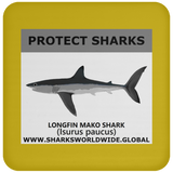 PRS LONGFIN V1 C