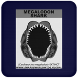GR MEGALODON J C