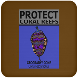 PCRS GEO C