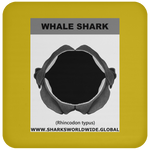 GR WHALE S J C