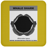 GR WHALE S J C
