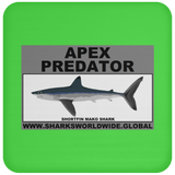 AP SHORTFIN MAKO C