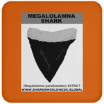 GR MEGALOLAM T C