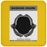 GR BASKING SHARK J C