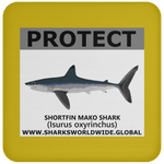 PRS SHORTFIN V2 C