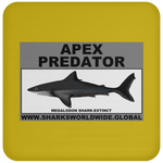 AP MEGALODON C