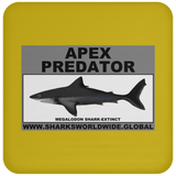 AP MEGALODON C