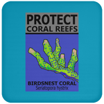 PCRS BIRDS C