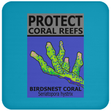 PCRS BIRDS C