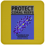 PCRS S EGG C