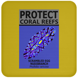 PCRS S EGG C