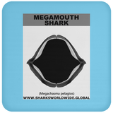 GR MEGAMOUTH J C