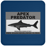 AP MEGALODON C