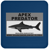 AP MEGALODON C