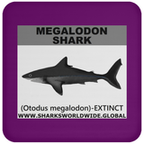 SSP MEGALODON C