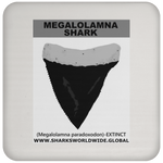 GR MEGALOLAM T C