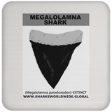 GR MEGALOLAM T C