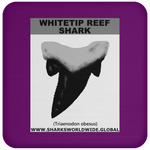 GR WHITETIPR T C