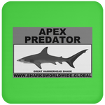 AP G HAMMERHEAD C