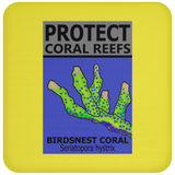 PCRS BIRDS C