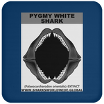 GR PYGW J C
