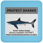 PRS GIANT MAKO V1 C