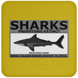 SSPX MEGALODON C