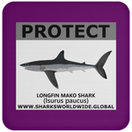 PRS LONGFIN V2 C