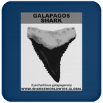 GR GALAPAGOS T C