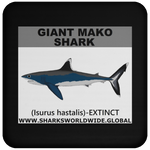 SSP GIANT MAKO C