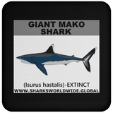 SSP GIANT MAKO C