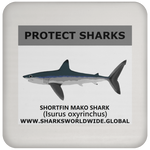 PRS SHORTFIN V1 C