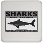 SSPX MEGALODON C