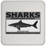 SSPX MEGALODON C