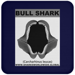 GR BULL SHARK J C