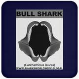 GR BULL SHARK J C