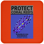 PCRS S EGG C