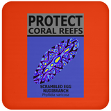 PCRS S EGG C