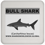 SSP BULL SHARK C