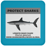 PRS LONGFIN V1 C